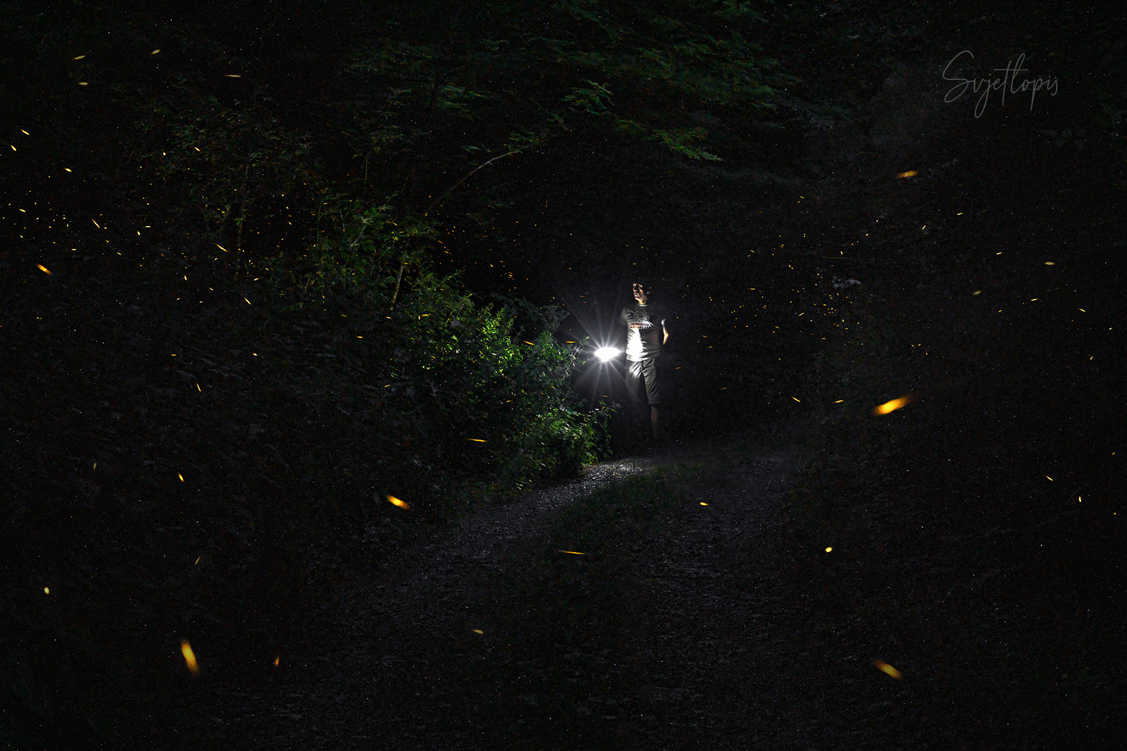 Kotor Varoš © Vladimir Tadić